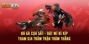 Đá Gà Cựa Sắt - Bật Mí Bí Kíp Tham Gia Trăm Trận Trăm Thắng