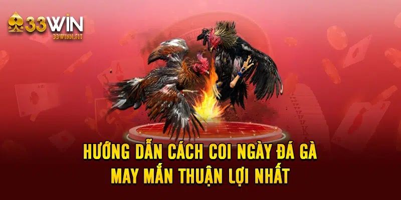 Hướng Dẫn Cách Coi Ngày Đá Gà May Mắn Thuận Lợi Nhất